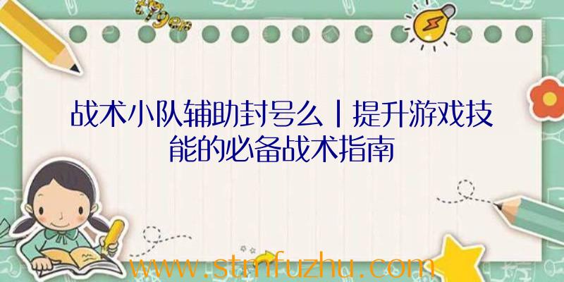 战术小队辅助封号么|提升游戏技能的必备战术指南
